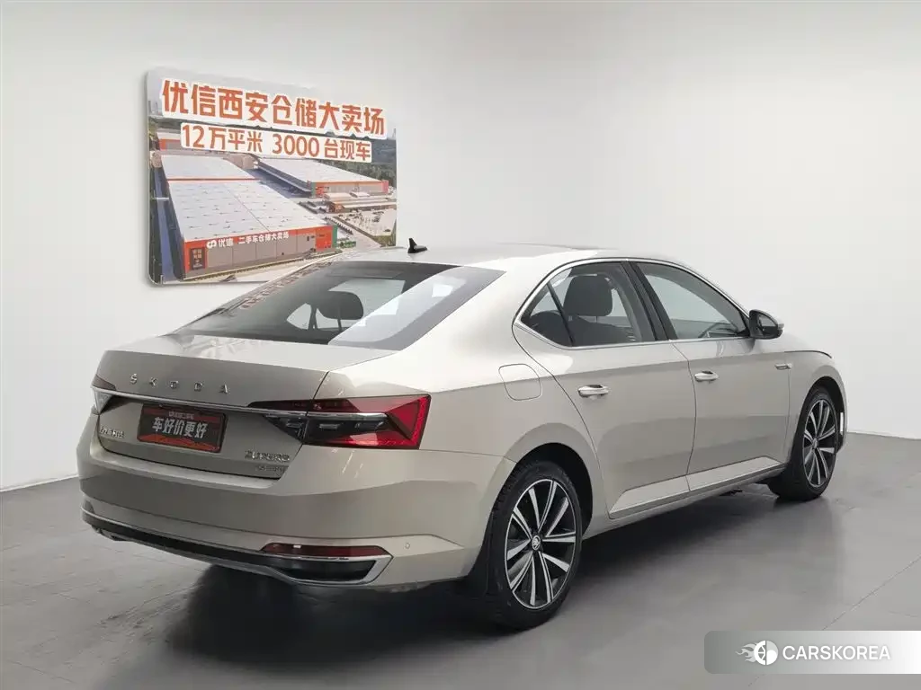Skoda Speed pie id 4547467 из Китая 10