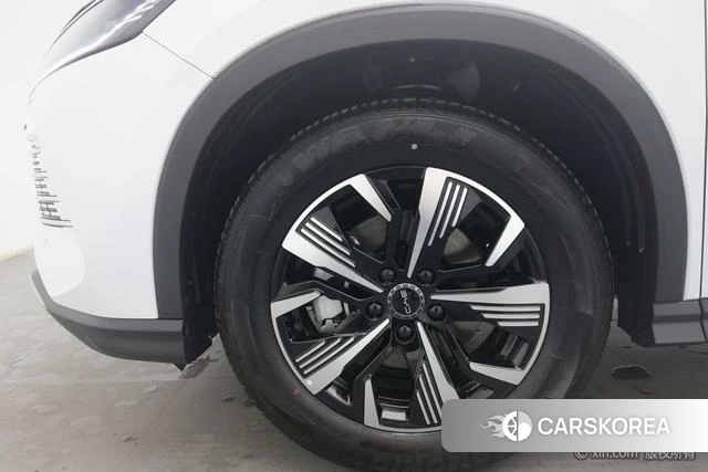 BYD Sea Lion 05DM id 4210285 из Китая 10
