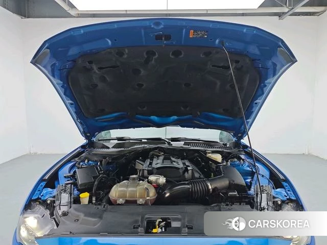 Ford Mustang id 4374579 из Китая 10
