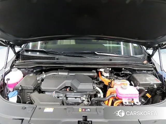 Kia The New Carnival 4th Generation id 3731617 из Кореи 10