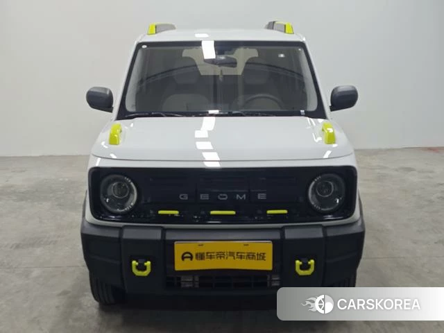 Geely Galaxy panda id 4211901 из Китая 10