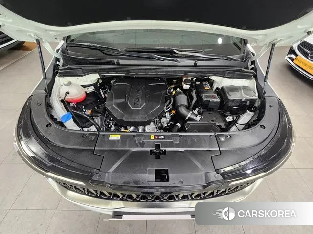 Kia The New Carnival 4th Generation id 3538741 из Кореи 10