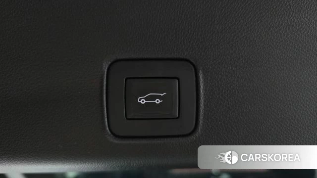 Chevrolet (GM Daewoo) Trailblazer id 4849452 из Кореи 10