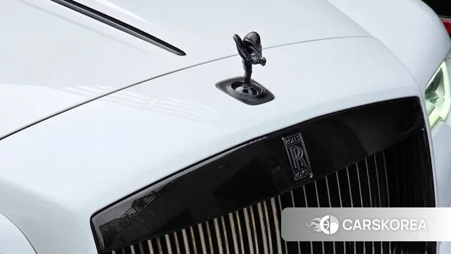 Rolls-Royce Dunn id 3371551 из Кореи 10