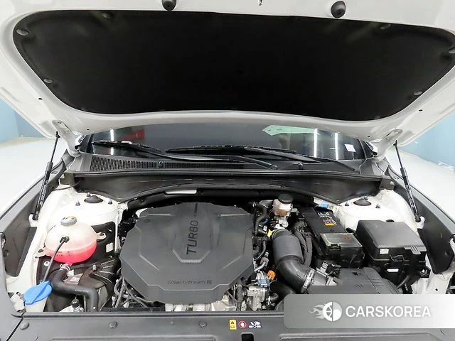 Hyundai The New Santa Fe id 4360703 из Кореи 10