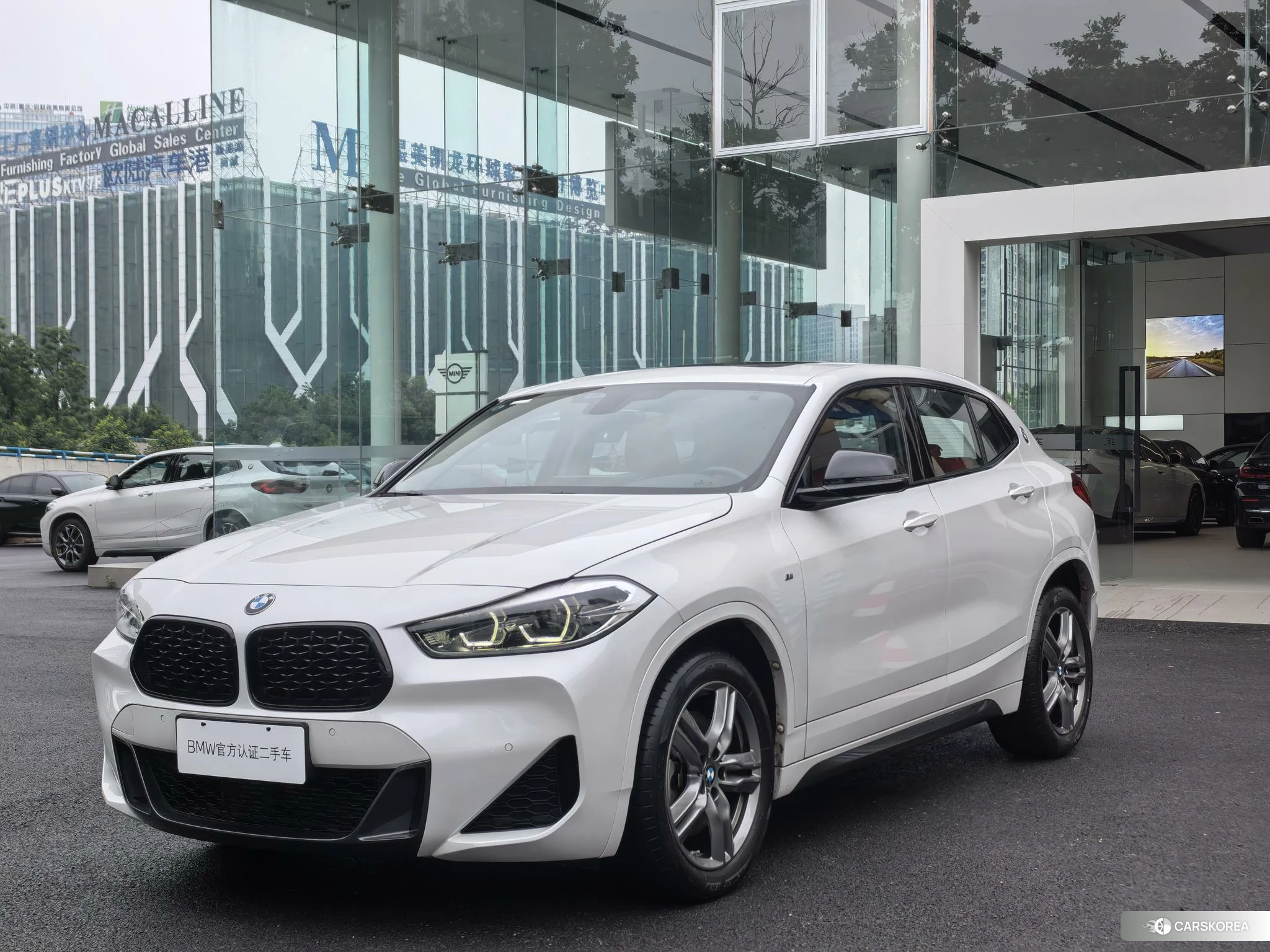 BMW X2 id 4452857 из Китая 10