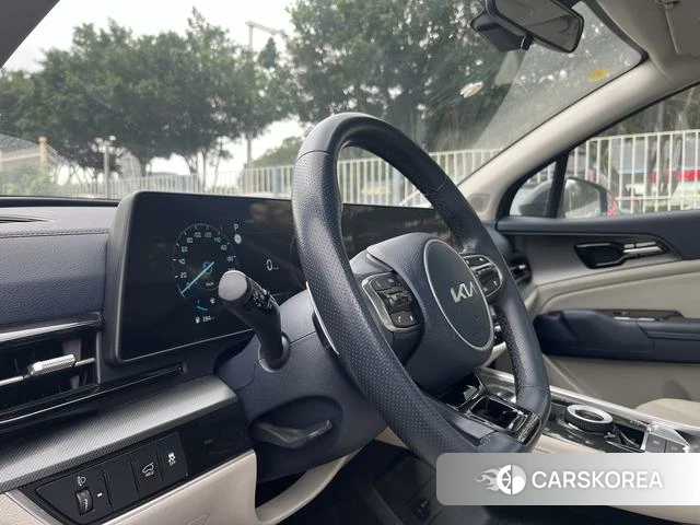 Kia Lion Platinum expands the world id 4264186 из Китая 10