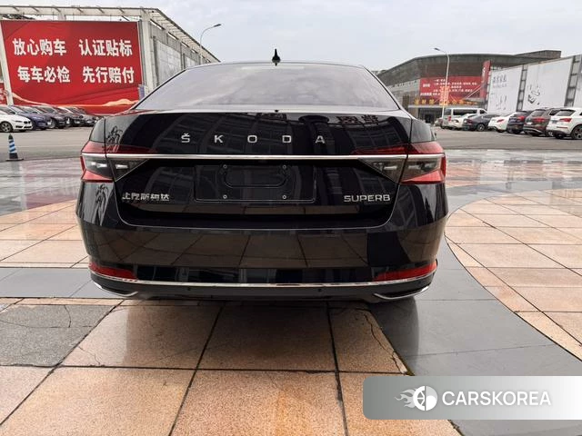 Skoda Speed pie id 4374487 из Китая 10