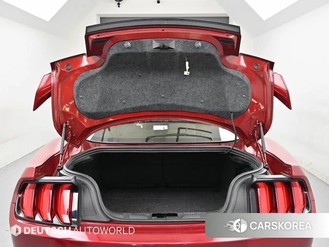 Ford Mustang id 4410669 из Кореи 10