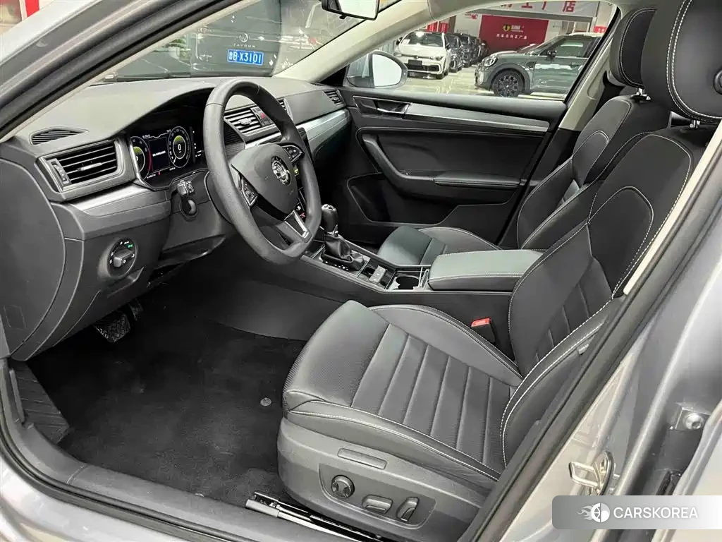 Skoda Speed pie id 4577562 из Китая 10