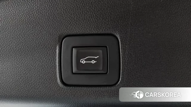 Chevrolet (GM Daewoo) Trailblazer id 3722391 из Кореи 10