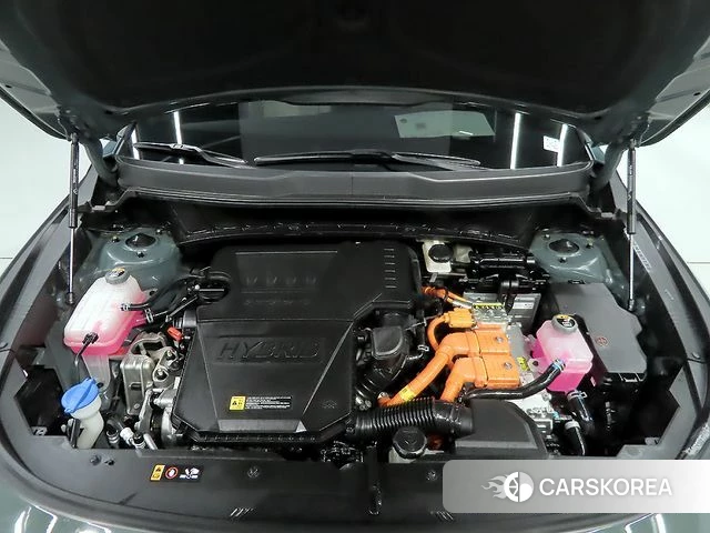 Kia Di Ol Nu Niro id 3940869 из Кореи 10