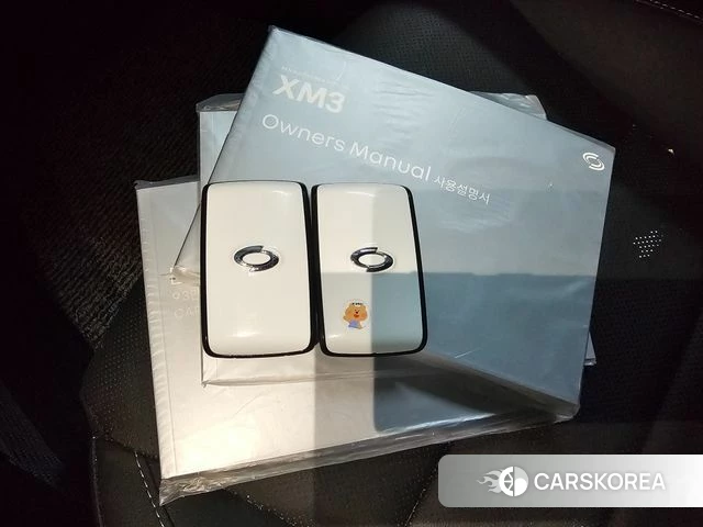 Renault Korea (Samsung) XM3 id 4485710 из Кореи 10