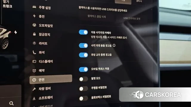 Tesla Model 3 id 3209540 из Кореи 10