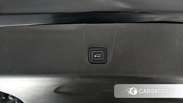 Chevrolet (GM Daewoo) Traverse id 3343140 из Кореи 10