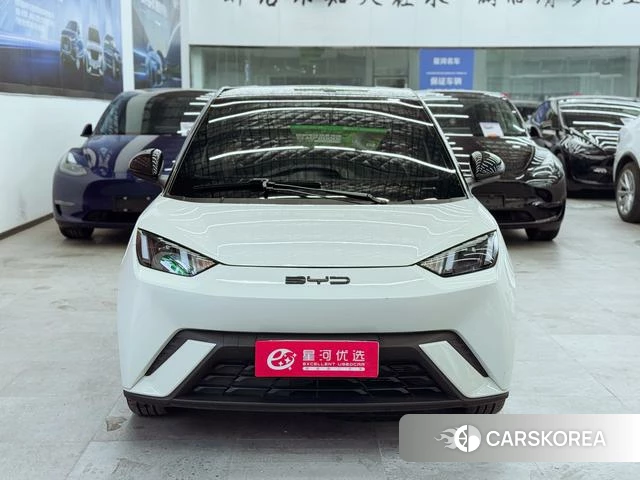 BYD Seagull id 3856230 из Китая 10