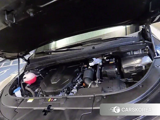 Kia The New Carnival 4th Generation id 3152486 из Кореи 10