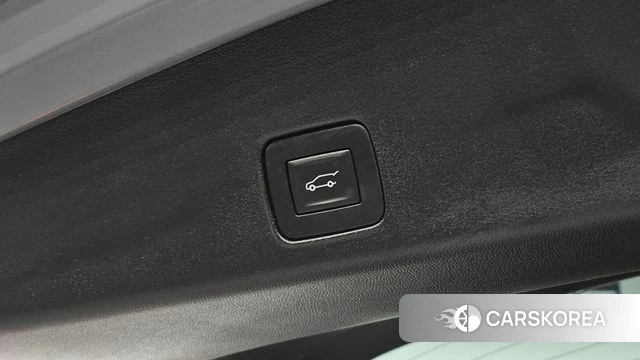 Chevrolet (GM Daewoo) Trailblazer id 4494652 из Кореи 10