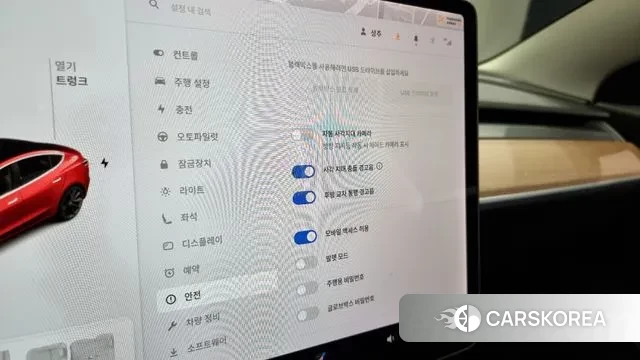 Tesla Model 3 id 3301820 из Кореи 10