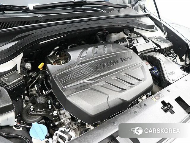 Hyundai Santa Fe TM id 4020007 из Кореи 10