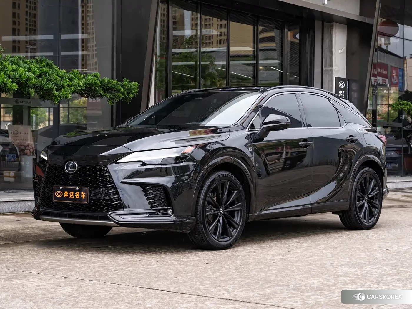 Lexus RX id 4565283 из Китая 10