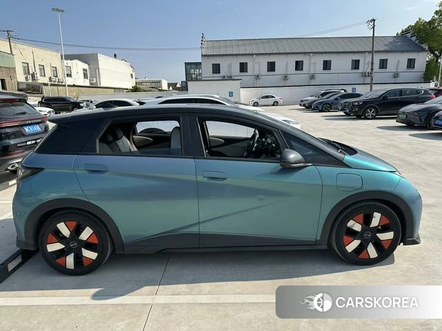 BYD dolphin id 4240196 из Китая 10