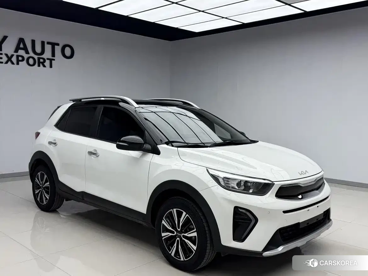 Kia Yi Ran id 4576296 из Китая 10