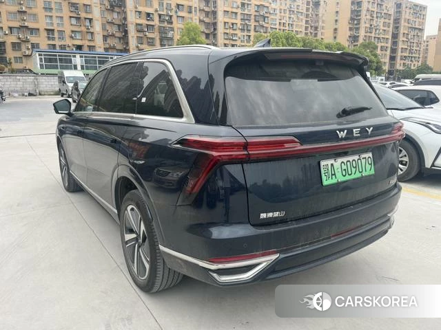 Wei Pai Blue Mountain id 4229198 из Китая 10