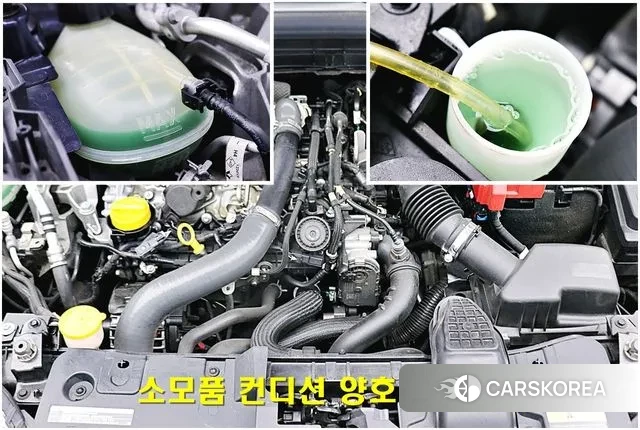 Renault Korea (Samsung) XM3 id 3274934 из Кореи 10