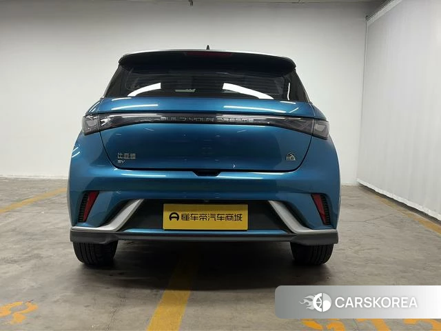 BYD dolphin id 4216848 из Китая 10