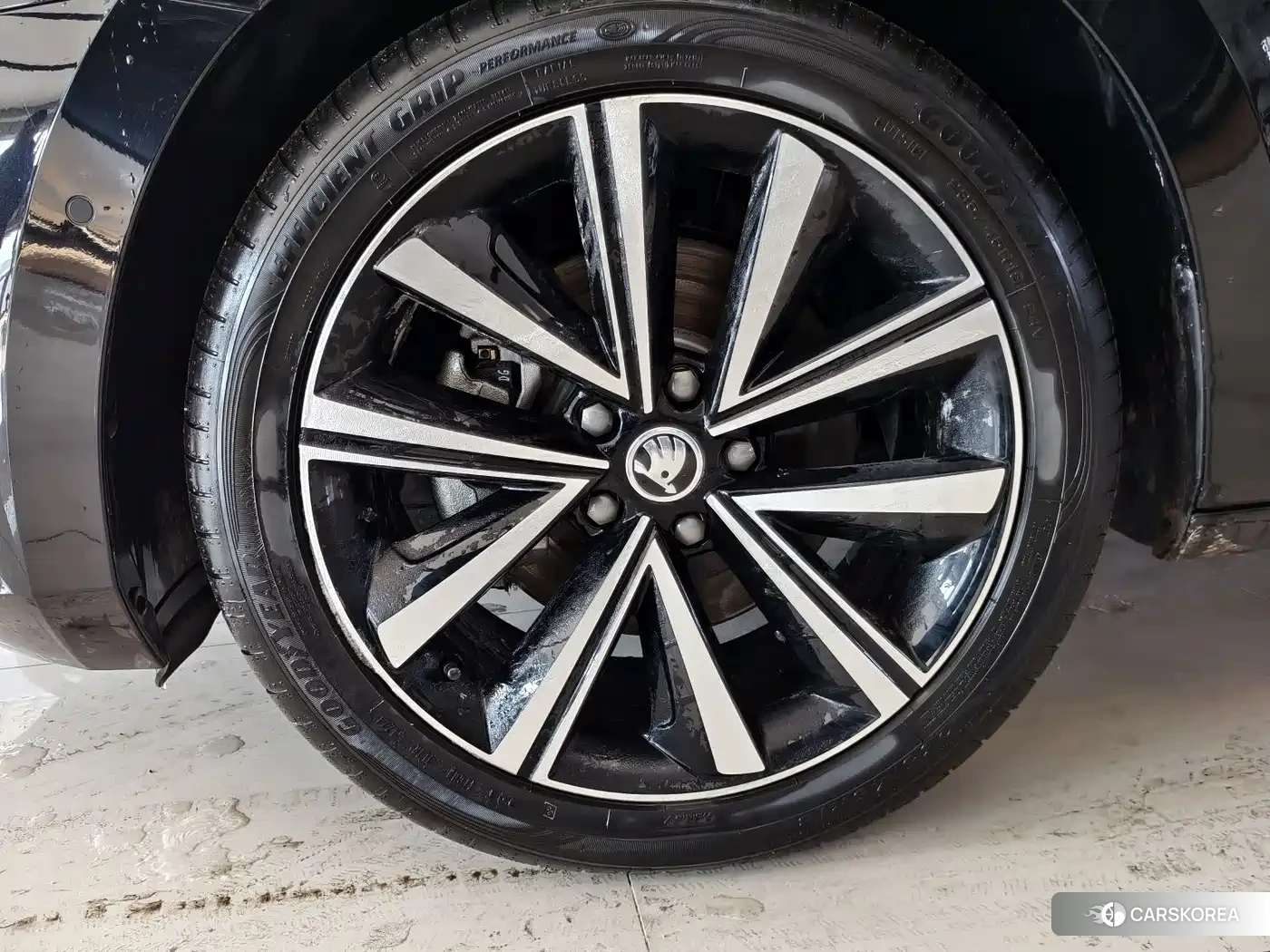Skoda Speed pie id 4547484 из Китая 10