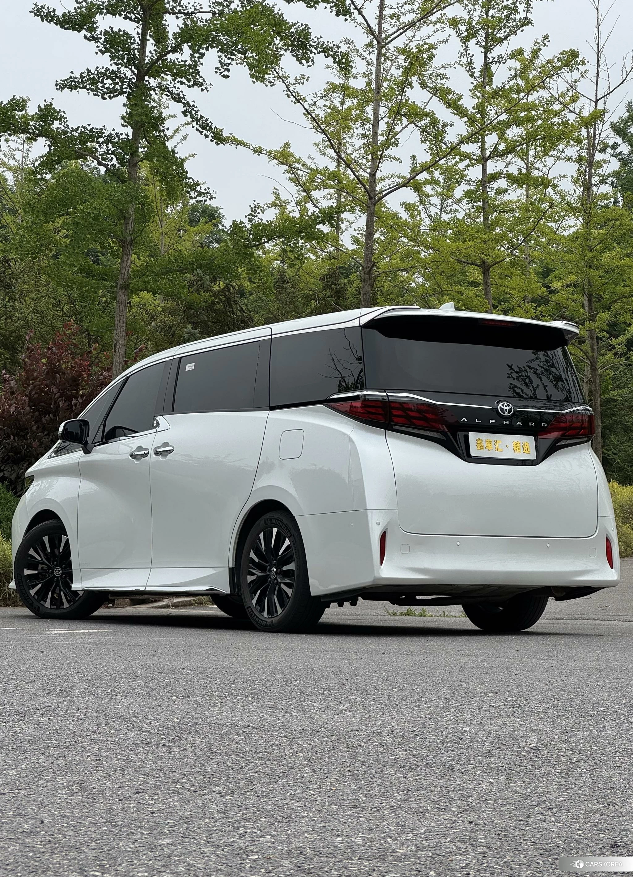 Toyota Elfa id 4454654 из Китая 10