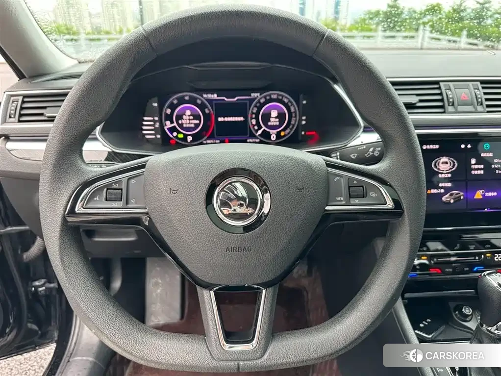 Skoda Speed pie id 4546418 из Китая 10