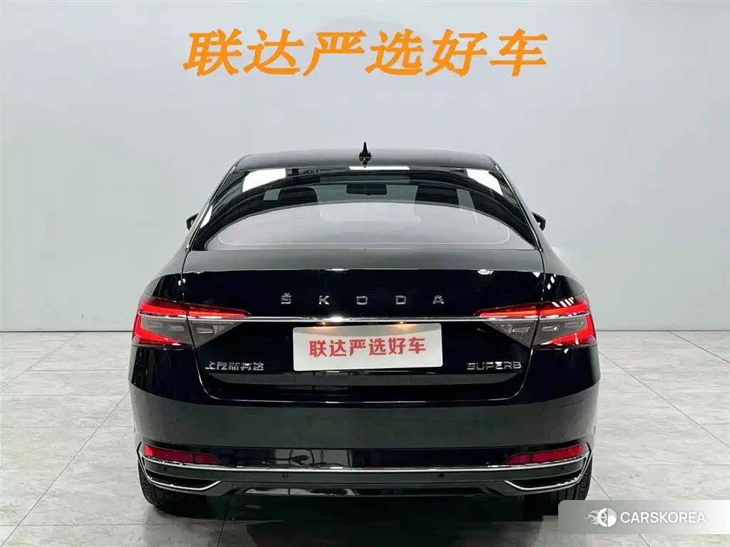 Skoda Speed pie id 4538728 из Китая 10