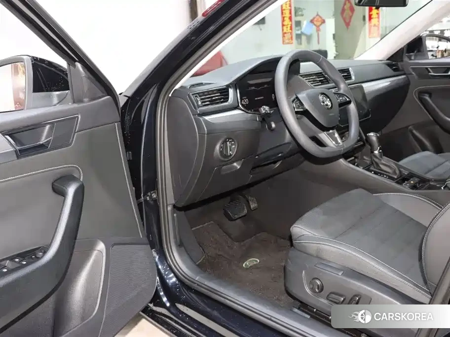 Skoda Speed pie id 4515532 из Китая 10