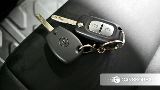 Renault Korea (Samsung) Master id 3866494 из Кореи 10