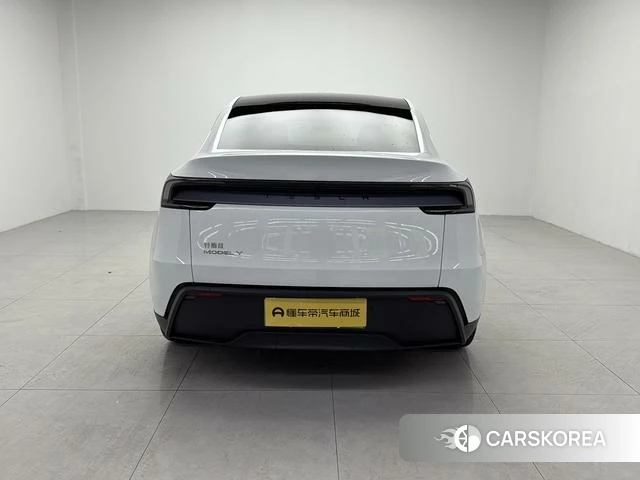 Tesla Model Y id 4219751 из Китая 10