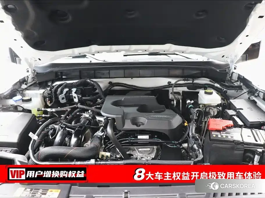 Ford Mustang id 4515387 из Китая 10