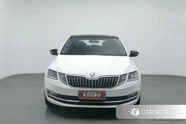 Skoda Octavia id 4210177 из Китая 10