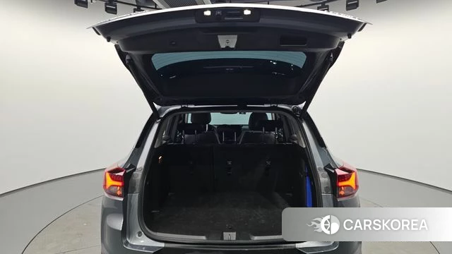 Chevrolet (GM Daewoo) Trailblazer id 3954570 из Кореи 10