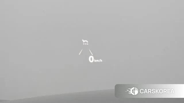 Genesis G90 id 3650954 из Кореи 10