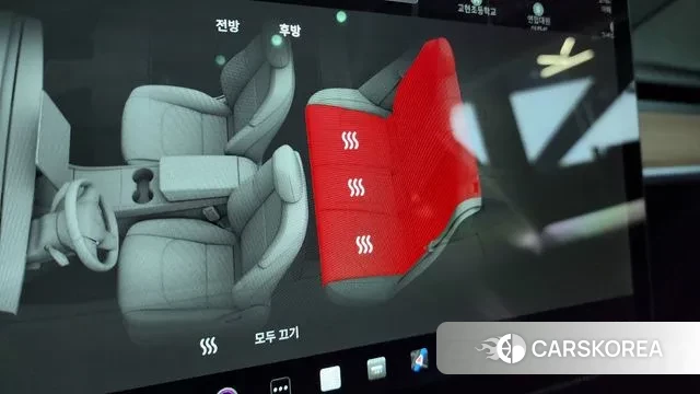 Tesla Model 3 id 3311483 из Кореи 10