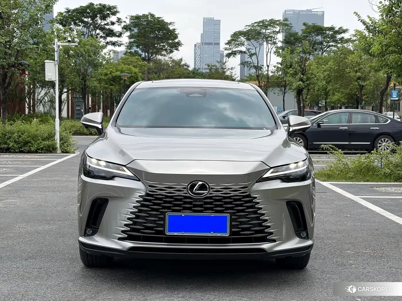 Lexus RX id 4644613 из Китая 10