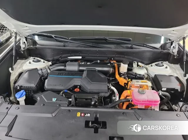 Hyundai Santa Fe (MX5) id 3400266 из Кореи 10