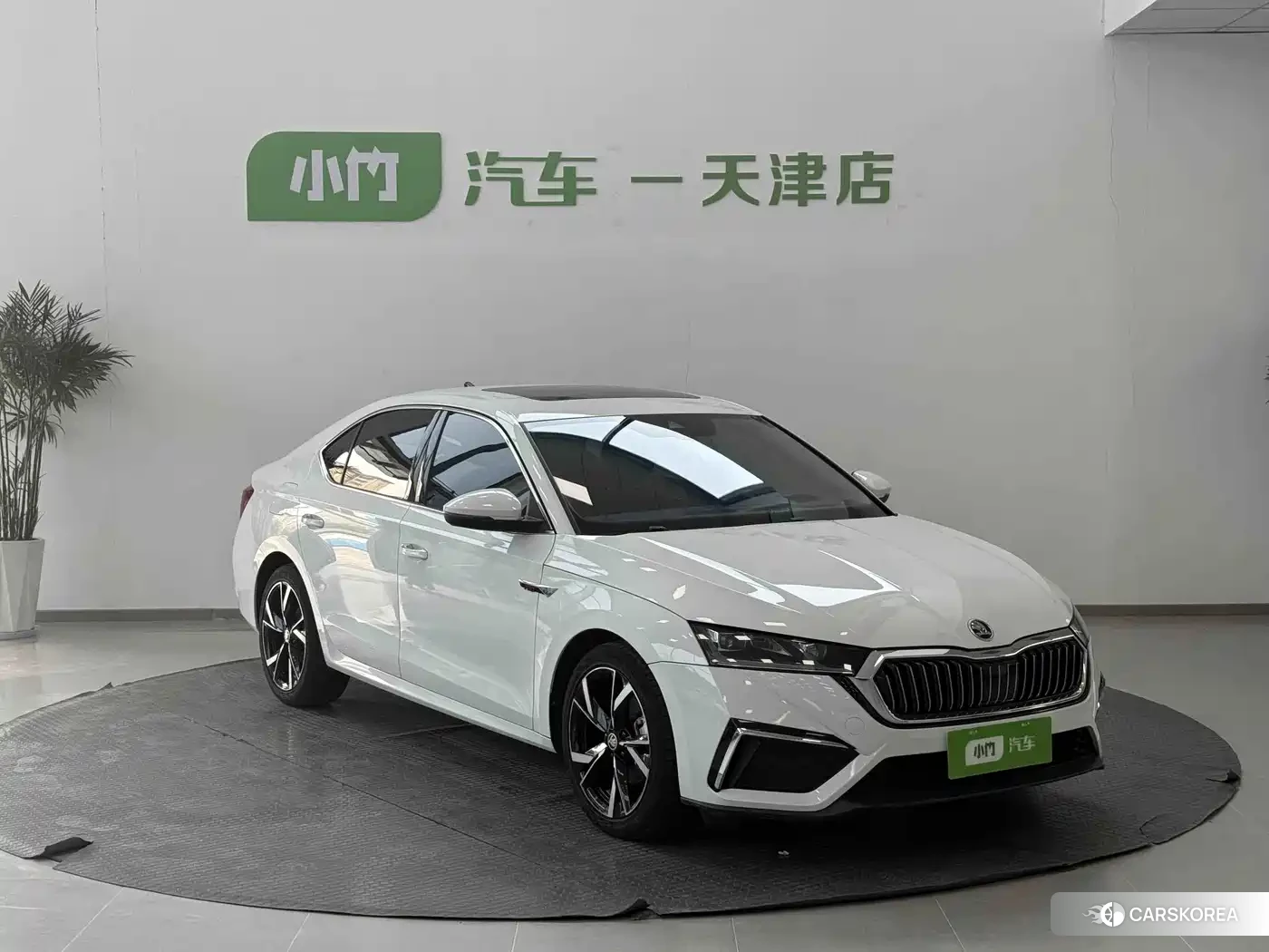 Skoda Octavia id 4654542 из Китая 10