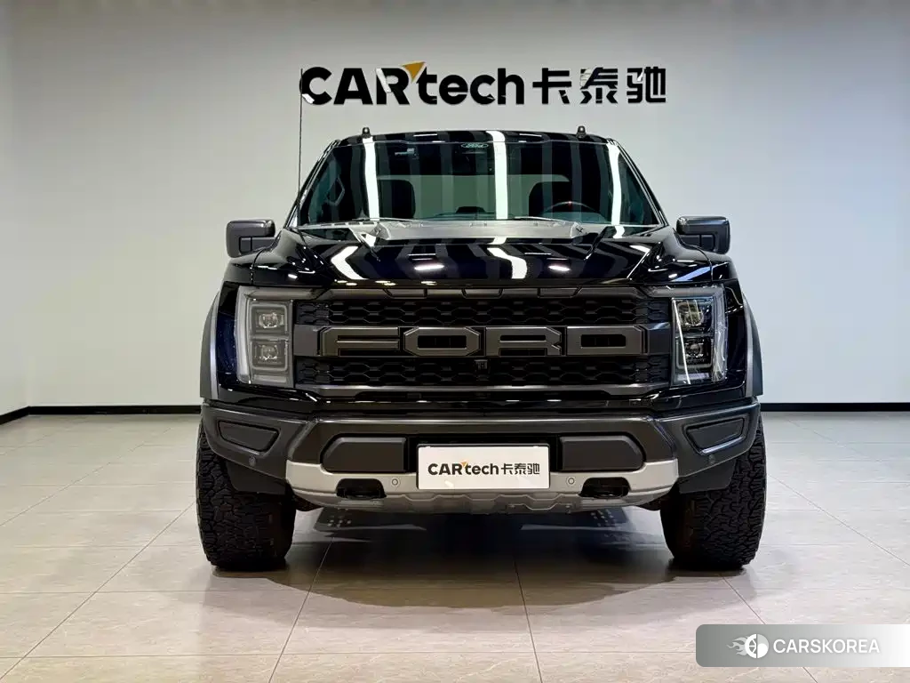 Ford F-150 Raptor id 4578196 из Китая 10