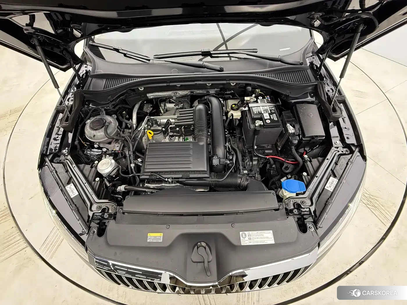 Skoda Speed pie id 4570642 из Китая 10
