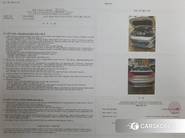 Hyundai Ionic Electric id 3013981 из Кореи 10