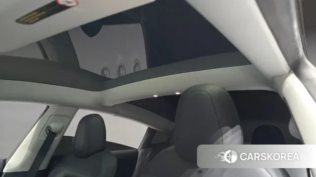 Tesla Model 3 id 3121070 из Кореи 10