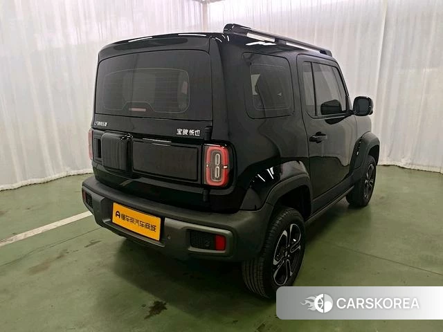 Baojun Yue Ye id 4210096 из Китая 10